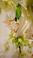https://images.plurk.com/6QeiyIzSqTuZaQDnBMR5ho.jpg
