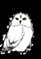 https://images.plurk.com/6QgJLFjk6OsIyAg0Ax5uMp.png