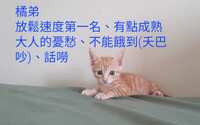 https://images.plurk.com/6QjTaJzMsbbcdYK4ILxich.jpg