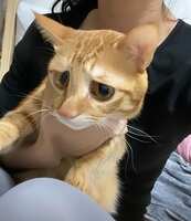 https://images.plurk.com/6QkV8kLwRzifJv1vDNrsHJ.jpg
