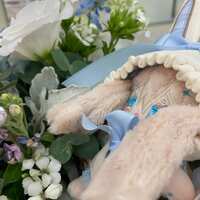 https://images.plurk.com/6QmzTfxz5x1CC7uKKxIlp.jpg
