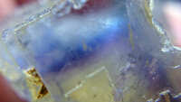 https://images.plurk.com/6Qo2177WySmgznSlxIo8xv.jpg