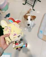 https://images.plurk.com/6R1rkQ1w7Min0blr79M9aZ.jpg