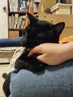 https://images.plurk.com/6REYo4A3X2qmNyQwCjrCAd.jpg