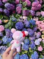 https://images.plurk.com/6RKpDvPMHEk1nMIMl7uu47.jpg