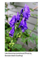 https://images.plurk.com/6RNvwDNfrCDRCPnZicnJrW.jpg