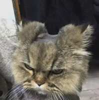 https://images.plurk.com/6RUs9rgojRi6KqYp2ZHsja.jpg