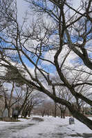 https://images.plurk.com/6RZMTdbEGVHQojhWUgtVKn.jpg