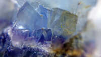 https://images.plurk.com/6RasTcKDbNdnnwWEQQ4GGc.jpg