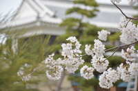 https://images.plurk.com/6RbTBLN68etJOJG59CKx09.jpg