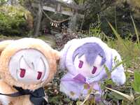 https://images.plurk.com/6RyhU4rvRfi4CUMN2UO2E3.jpg