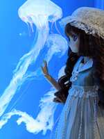 https://images.plurk.com/6Rz2PIP3iCBTPC2fRWKG7X.jpg