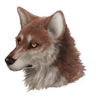 https://images.plurk.com/6S0ZGiYn7H1vuEn4rLMq4A.jpg