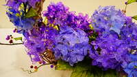 https://images.plurk.com/6S76StqOlJ0J9CYrxkbvQQ.jpg