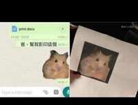 https://images.plurk.com/6S8r2urGW0o0o48KYa5U0D.jpg