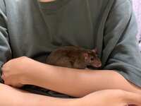 https://images.plurk.com/6SEv1H2ik4zG31owv3LPHZ.jpg
