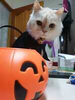 https://images.plurk.com/6SGMeUohC4A6ClIdjeZbZM.jpg