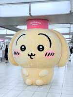 https://images.plurk.com/6SKlqIXWPwfP9a31b2H7oa.jpg