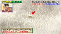 https://images.plurk.com/6SQSaGKhFw4cKksf6wi3VD.jpg