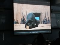 https://images.plurk.com/6SUCWpsTmXmu8Ksgpwj7id.jpg
