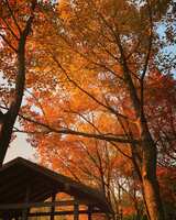 https://images.plurk.com/6SV5P1WKnJv50YLU1vSZjR.jpg