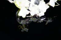 https://images.plurk.com/6SdNMbg6Dkf9jm3RrzOzI7.jpg
