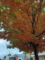 https://images.plurk.com/6SlbVywJbtTT741izXqJX9.jpg