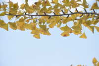 https://images.plurk.com/6SowZkB5B1EFoTbOni1GgQ.jpg