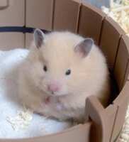https://images.plurk.com/6SuQkpm6R8oTGY7Luu1tKY.jpg