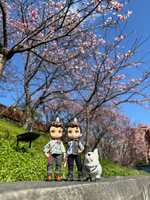 https://images.plurk.com/6TBjX0BiziA05mIAp4oQOZ.jpg