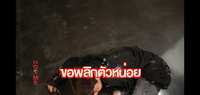 https://images.plurk.com/6TICdWhyHE1LJsQGSFcdB2.jpg