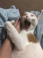 https://images.plurk.com/6TKJh1Ql8MQnMAmHHlLkjJ.jpg