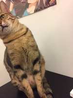 https://images.plurk.com/6TOcM7uwPRLLB5Dc2V9yfv.jpg