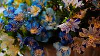 https://images.plurk.com/6Tef50PvXatVCjwLct7kt9.jpg