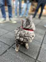 https://images.plurk.com/6ThNi1bjVuhe1SGhxYxl7c.jpg