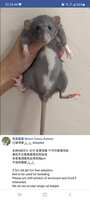 https://images.plurk.com/6Tj9tQme86EQYtME1BaUoU.jpg