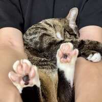 https://images.plurk.com/6TkF9QYWfgYjhz2EOFSwOg.jpg