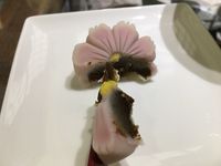 https://images.plurk.com/6TkIDAOh0Gcyhp9ydpYVxs.jpg