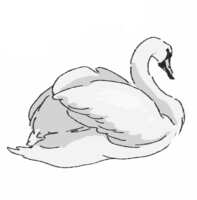 https://images.plurk.com/6Tt4ZKeCZiKtpMf3ndVGZ4.png