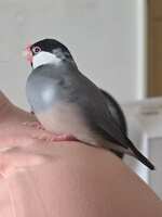 https://images.plurk.com/6TturFtAIK5FztZX1KvlSv.jpg