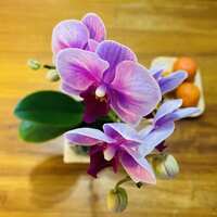 https://images.plurk.com/6TvSWgD8K0qNnOpquRgKdS.jpg