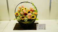 https://images.plurk.com/6TvxsrttxxBBtntpPINKKM.jpg