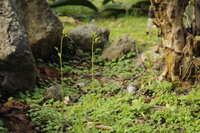 https://images.plurk.com/6TwYynLfv4jAsk4E32hqVL.jpg
