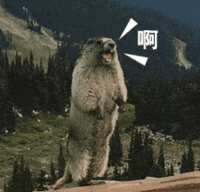 https://images.plurk.com/6U2yskQz84uxkVRSnQBdW2.gif