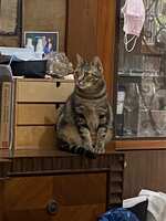https://images.plurk.com/6U7Qj5hFtfh29GLsoBUw8y.jpg