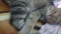 https://images.plurk.com/6UAR91s3WtxzPFVKVJap2M.jpg