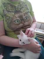 https://images.plurk.com/6UBYzDTj8ENvMutVqk598R.jpg