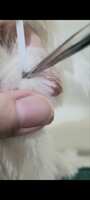 https://images.plurk.com/6UCIgcQcwscXegSO3v4iOa.jpg