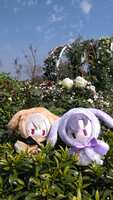 https://images.plurk.com/6UEOUbryNjq2htkplhH193.jpg