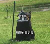 https://images.plurk.com/6UMPb0FbONwthllzxoPiFL.jpg